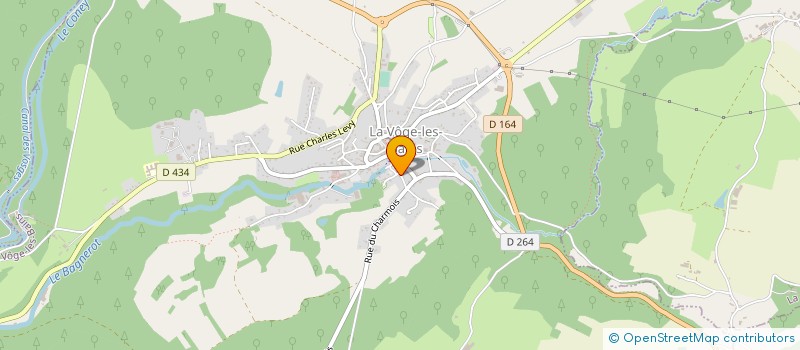 localisation de l'entreprise ASSAINI-SERVICES ENVIRONNEMENT  LA VOGE-LES-BAINS