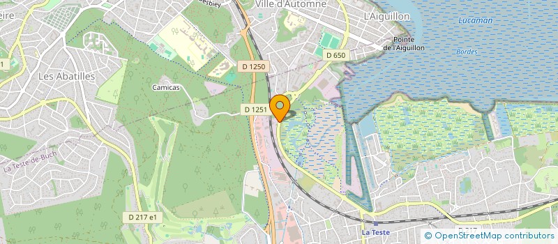 localisation de l'entreprise ASSELIN.T  LA TESTE-DE-BUCH