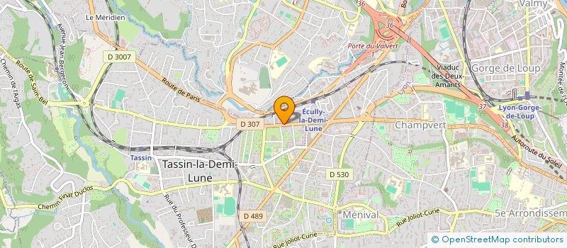 localisation de l'entreprise ASSIST'SMI  TASSIN-LA-DEMI-LUNE