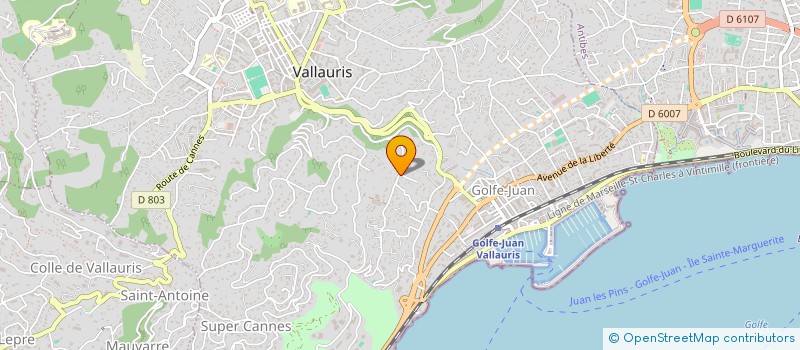 localisation de l'entreprise ASSISTANCE MOTEURS MARINS à VALLAURIS