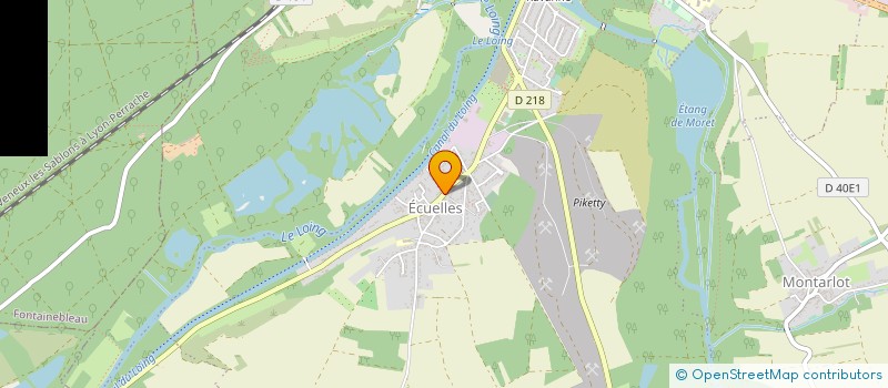 localisation de l'entreprise ASSISTANT(E)S MATERNEL(LE)S SEINE ET LOING  MORET-LOING-ET-ORVANNE