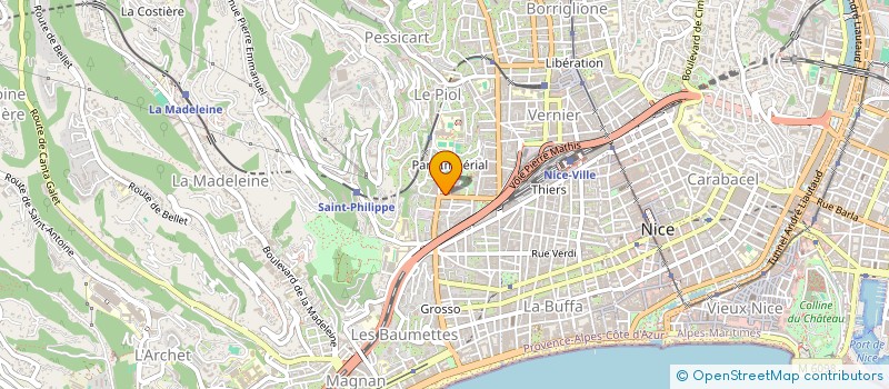 localisation de l'entreprise ASSO ANALGESIE AIGUE DES ALPES MARITIMES à NICE