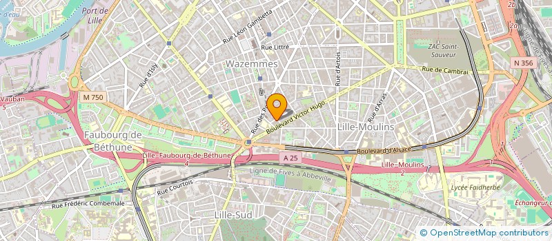 localisation de l'entreprise ASSO : ATELIER DU 49 TER à LILLE