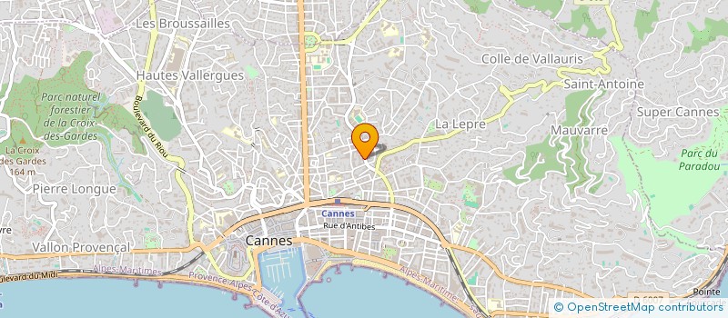 localisation de l'entreprise ASSO CARNAVAL VENITIEN DE CANNES à CANNES