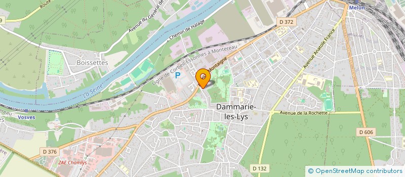 localisation de l'entreprise ASSO CULTU FAMILLES AFRIC DE SEI & MARNE à DAMMARIE-LES-LYS