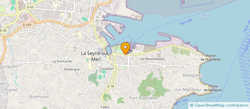 localisation de l'entreprise ASSO DE MAINTIEN DES INTERETS AUX ANCIENS DE LA NAVALE DE LA SEYNE à LA SEYNE-SUR-MER