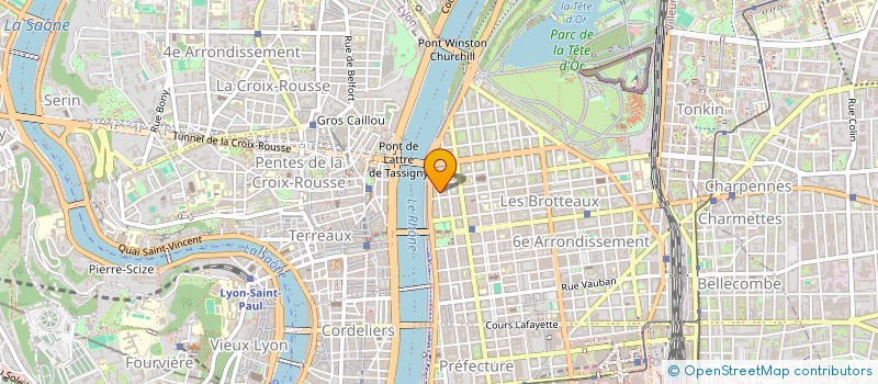 localisation de l'entreprise ASSO IMMOBILIERE ET CULTUELLE REDEMPTION à LYON