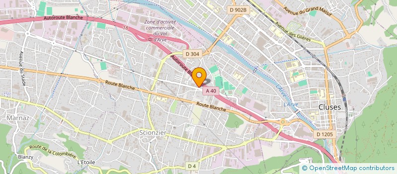 localisation de l'entreprise ASSO LOCALE CULTE TEMOINS DE JEHOVAH  SCIONZIER