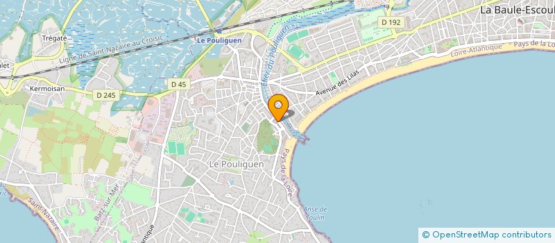 localisation de l'entreprise ASSO PROMOTION L ART ARTISTES à LE POULIGUEN