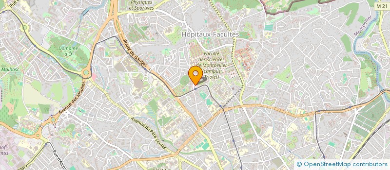 localisation de l'entreprise ASSO RECHER NEURO IMAGERIE GUI CHAULIAC à MONTPELLIER