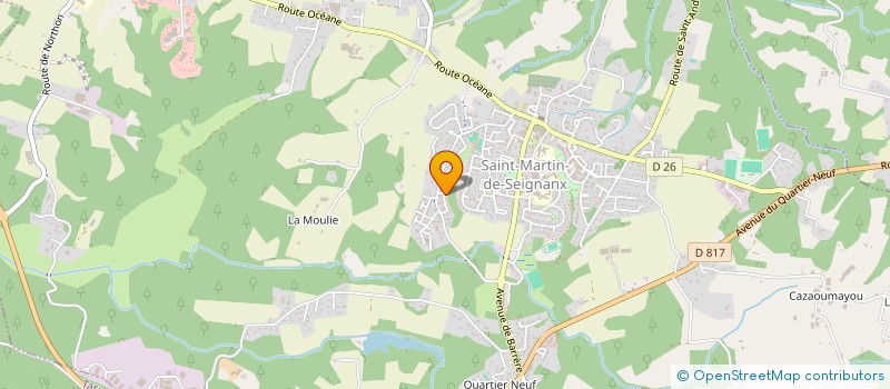 localisation de l'entreprise ASSO RS  SAINT-MARTIN-DE-SEIGNANX