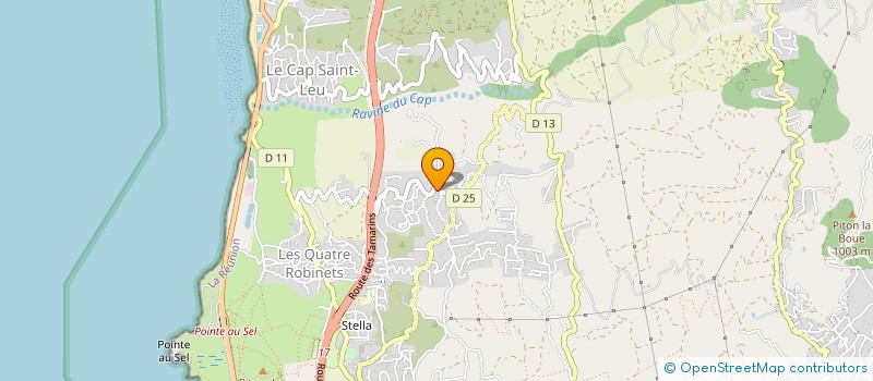 localisation de l'entreprise ASSO SPORTS DE COMBAT ET D'ARTS MARTIAUX à SAINT-LEU