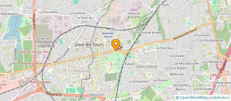 localisation de l'entreprise ASSO SUR MESURE à JOUE-LES-TOURS