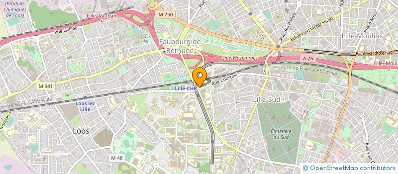 localisation de l'entreprise ASSOC ACTIV SOCIA UER MEDECINE à LILLE