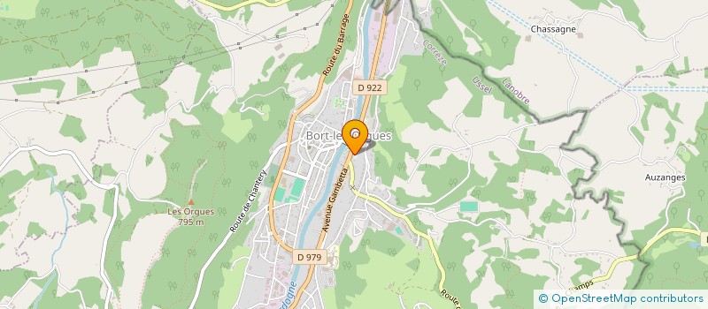 localisation de l'entreprise ASSOC AIDE A L'AIDANT  BORT-LES-ORGUES