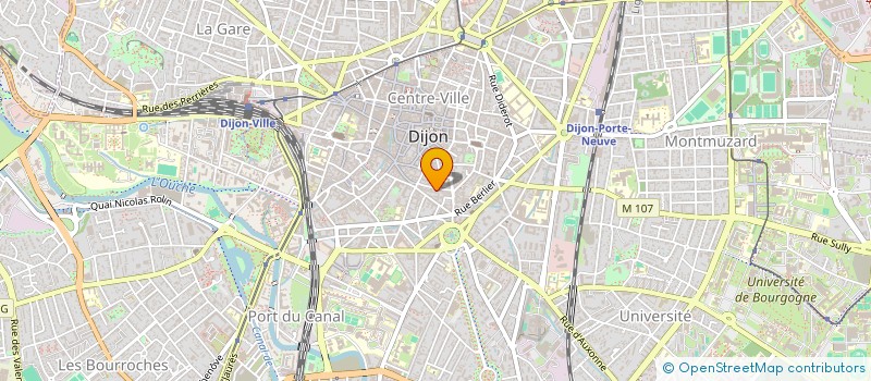 localisation de l'entreprise ASSOC ANNE MARIE JAVOUHEY  DIJON