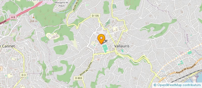 localisation de l'entreprise ASSOC BO PARTENAIRE à VALLAURIS