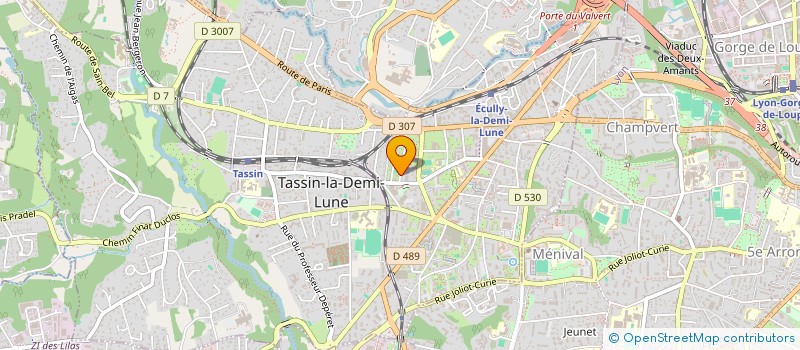 localisation de l'entreprise ASSOC BOULE TASSILUNOISE  TASSIN-LA-DEMI-LUNE