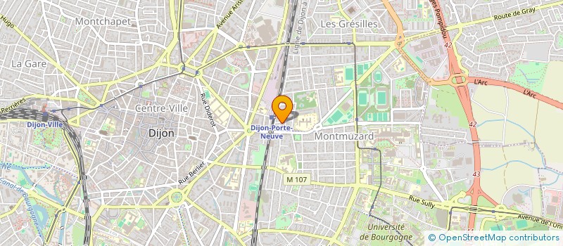 localisation de l'entreprise ASSOC DEPT AMIS PARENTS ENFANT INADAPTES à DIJON