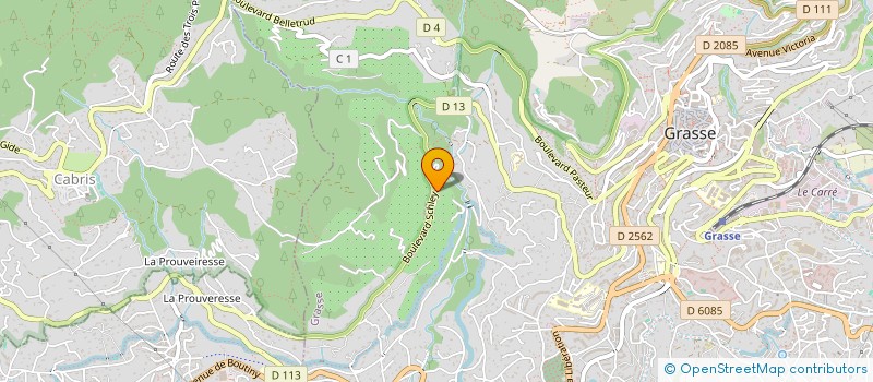 localisation de l'entreprise ASSOC DEPTLE COMITES COM FEUX DE FORETS à GRASSE