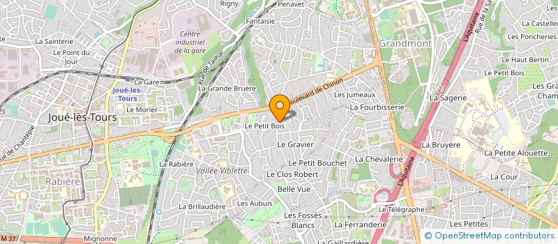 localisation de l'entreprise ASSOC DES GADZARTS DE LA PROMO BO 197 à JOUE-LES-TOURS