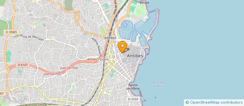 localisation de l'entreprise ASSOC DES PASSIONNES DE LA MER à ANTIBES