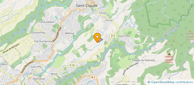 localisation de l'entreprise ASSOC DEVELOP SOINS PALLIAT BASSE-T à SAINT-CLAUDE