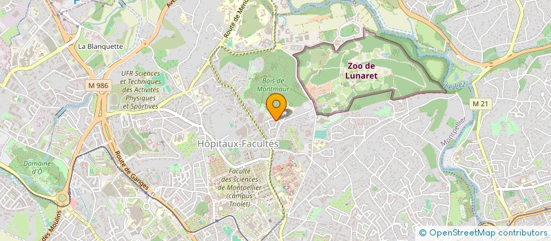 localisation de l'entreprise ASSOC ECOUT SPORT COMBAT ADAPT & LOISIRS à MONTPELLIER