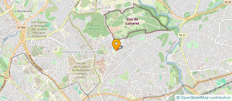 localisation de l'entreprise ASSOC EVEIL EN MOUVEMENT à MONTPELLIER