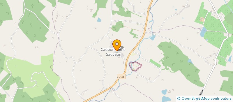 localisation de l'entreprise ASSOC FONCIERE REMEMBREMENT LEVIGNAC  LEVIGNAC-DE-GUYENNE