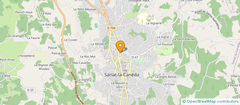 localisation de l'entreprise ASSOC INTERPROFESSIONNELLE DU SARLADAIS  SARLAT-LA-CANEDA