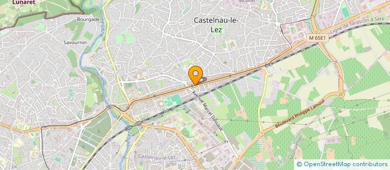 localisation de l'entreprise ASSOC JUDO CLUB ANTINEA à CASTELNAU-LE-LEZ