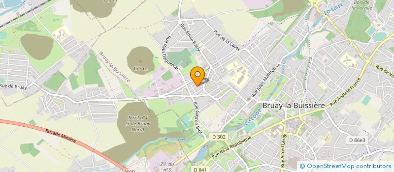 localisation de l'entreprise ASSOC LES BONS AMIS STADE PARC à BRUAY-LA-BUISSIERE