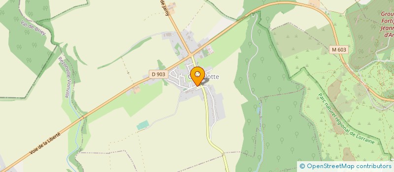 localisation de l'entreprise ASSOC LES ENFANTS DU VERGERS  GRAVELOTTE