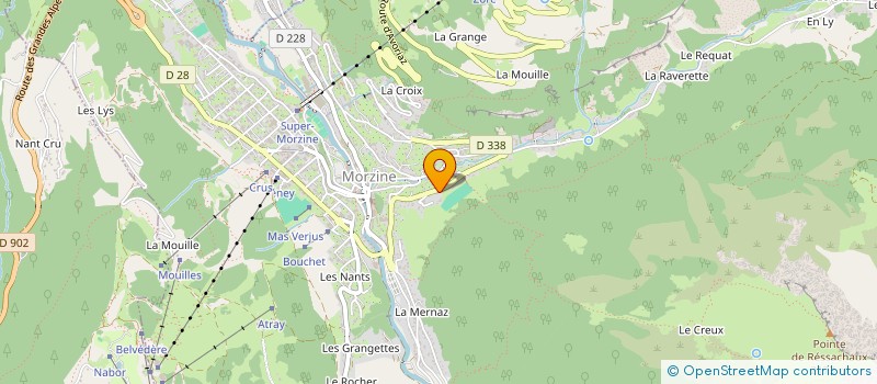 localisation de l'entreprise ASSOC NAT HOMES ENFANTS FRANCE  MORZINE