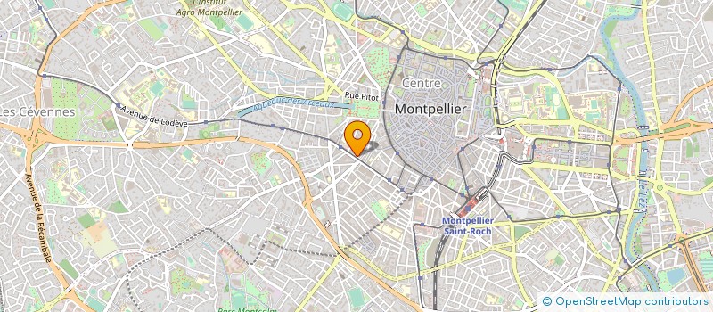 localisation de l'entreprise ASSOC POUR L ACTION MUSICALE LANGU ROUSS à MONTPELLIER