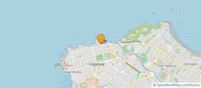 localisation de l'entreprise ASSOC POUR LA PROMO DE L'ACTIVITE MINIER à CAYENNE