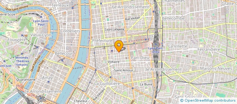 localisation de l'entreprise ASSOC RECHERCHE INTERVENT EMPLOI REG LY à LYON