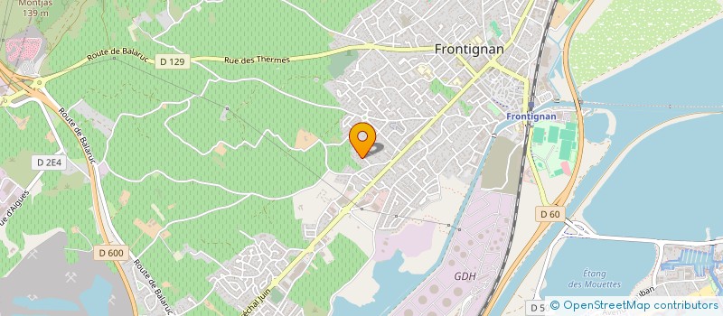 localisation de l'entreprise ASSOC SAUVETAGE SECOURIME ASSISTANCE RADIO HERAULT à FRONTIGNAN