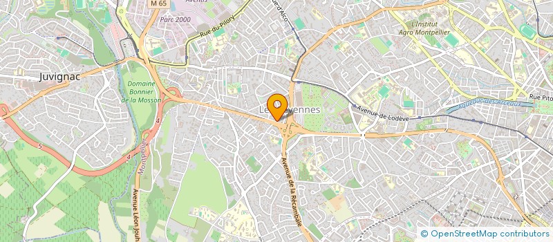 localisation de l'entreprise ASSOC SPORTIVE LA 3E MI-TEMPS AS3MT à MONTPELLIER