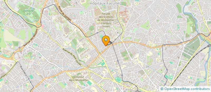localisation de l'entreprise ASSOC TEMPS LIBRE LIBELLULE PANORAMIQUE à MONTPELLIER