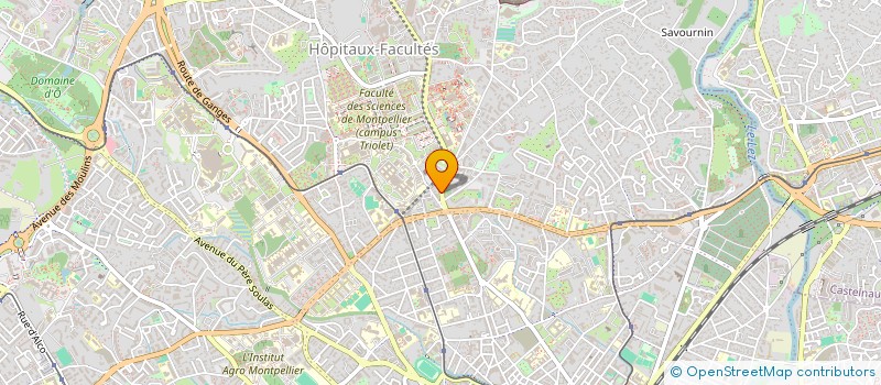 localisation de l'entreprise ASSOC UNIONS REGION ARTS DE LA LANGUE à MONTPELLIER