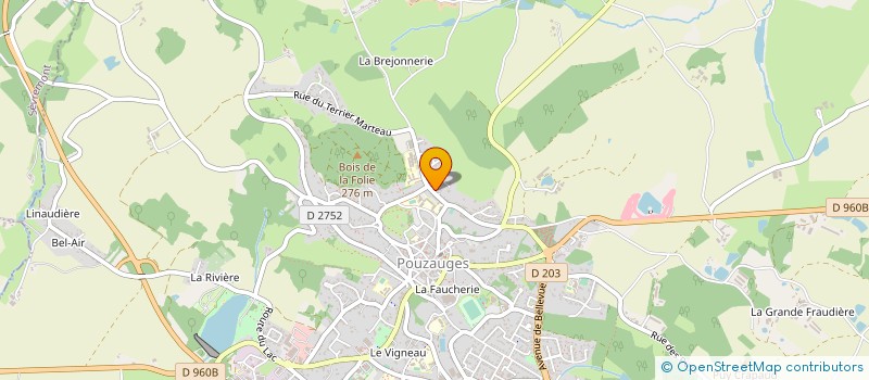 localisation de l'entreprise ASSOCIATION A LA CONQUETE DU BIEN ETRE  POUZAUGES