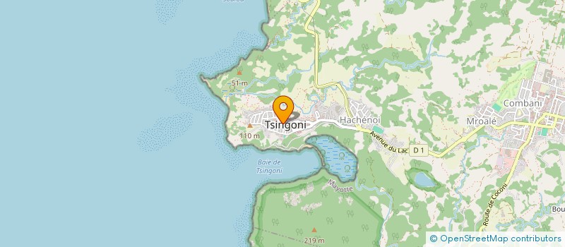 localisation de l'entreprise ASSOCIATION ACTIONS POUR LA SECURITE DE MROALE ( A P S M ) à TSINGONI