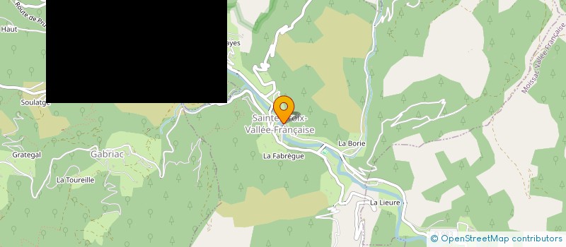 localisation de l'entreprise ASSOCIATION AGREEE LA GAULE DE LA VALLEE FRANCAISE POUR LA PECHE ET LA PROTECTION DU MILIEU AQUATIQUE  SAINTE-CROIX-VALLEE-FRANCAISE
