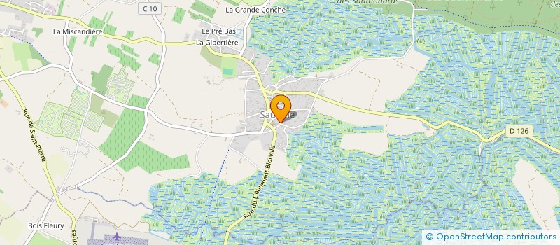 localisation de l'entreprise ASSOCIATION ANAELLE à SAINT-GEORGES-D'OLERON