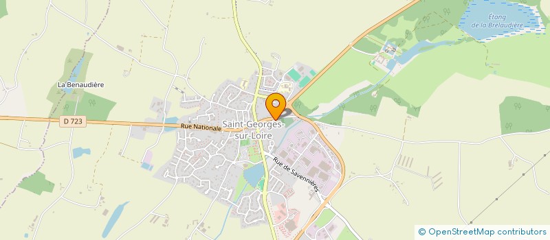 localisation de l'entreprise ASSOCIATION ANIMATION LES LIGERIENNES  SAINT-GEORGES-SUR-LOIRE