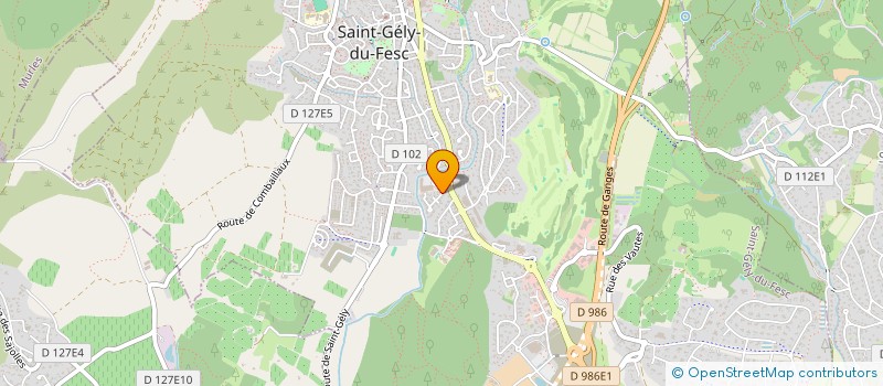 localisation de l'entreprise ASSOCIATION ARTISANS SAINT GELY DU FESC  SAINT-GELY-DU-FESC