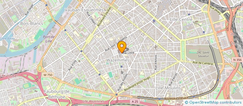 localisation de l'entreprise ASSOCIATION ARTONIT à LILLE