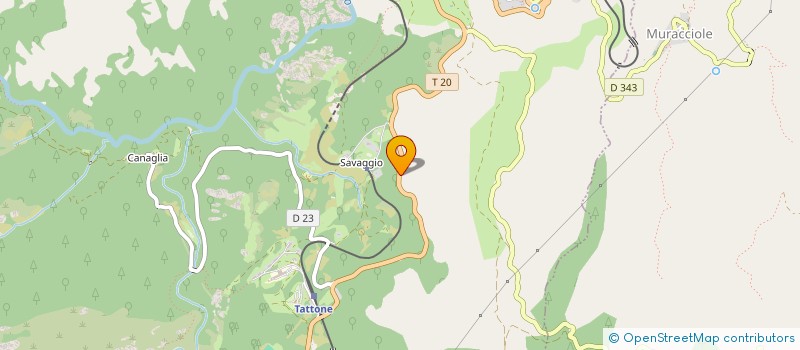 localisation de l'entreprise ASSOCIATION AU DELA DU SPORT  VIVARIO